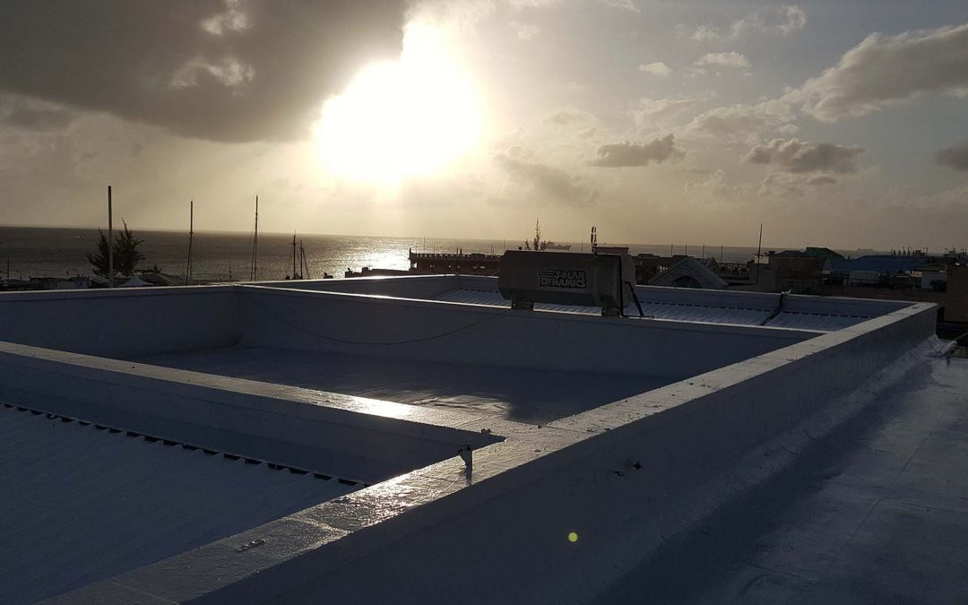 Bridgetown Bank Roof – Dec 2019